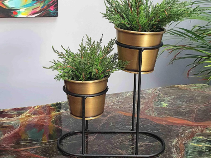 2in1 Gold Succulent Plant Pot